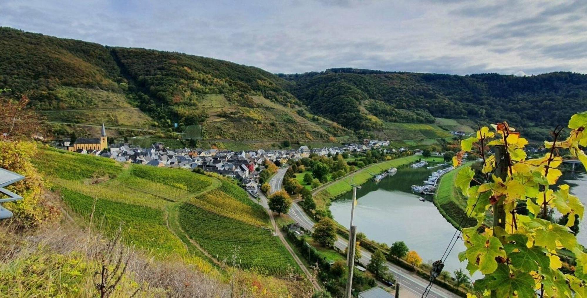 Ferienwohnung An Der Mosel, Romeo Зенгайм Екстер'єр фото
